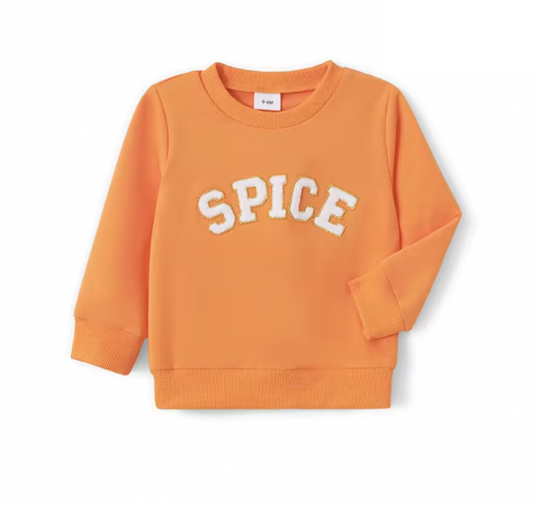 Pumpkin & Spice Matching Pullovers - PREORDER