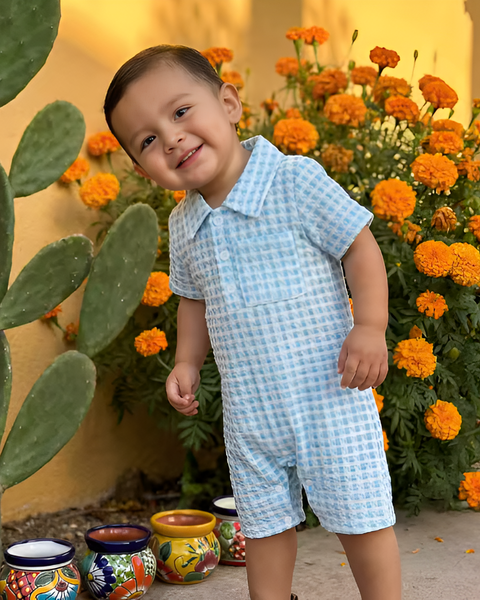 Pointelle Collar Shorts Romper | Blue Gingham - PREORDER