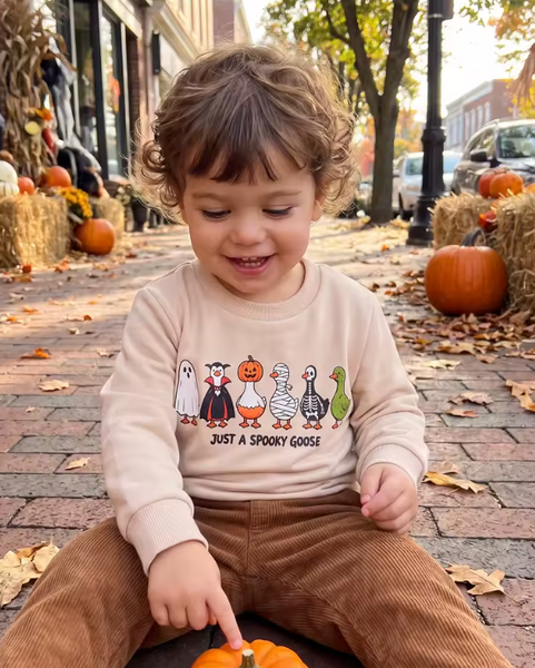 Pullover | Just a Spooky Goose - PREORDER