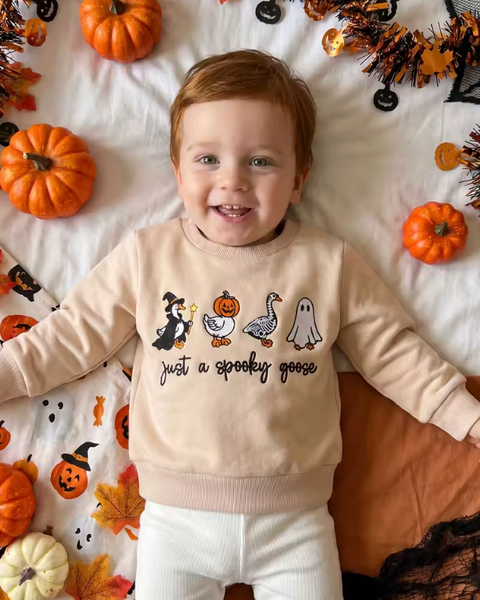 Embroidered Pullover | Just a Spooky Goose - PREORDER