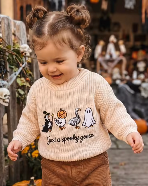 Embroidered Chunky Knit Sweater | Just a Spooky Goose - PREORDER