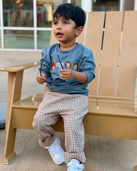 Embroidered Pullover & Pants Set | Zoo Animals Gingham - PREORDER