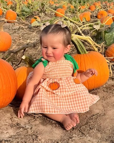 Embroidered Tutu Romper Dress | Pumpkins Gingham - PREORDER