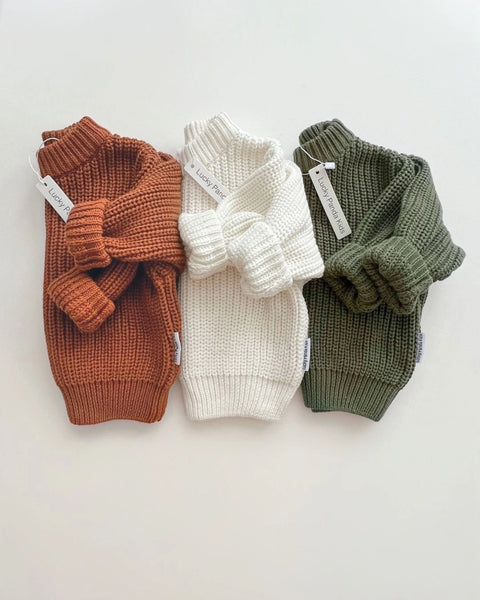 Chunky Knit Sweater |  Rust - PREORDER